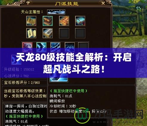 天龍80級技能全解析：開啟超凡戰(zhàn)斗之路！