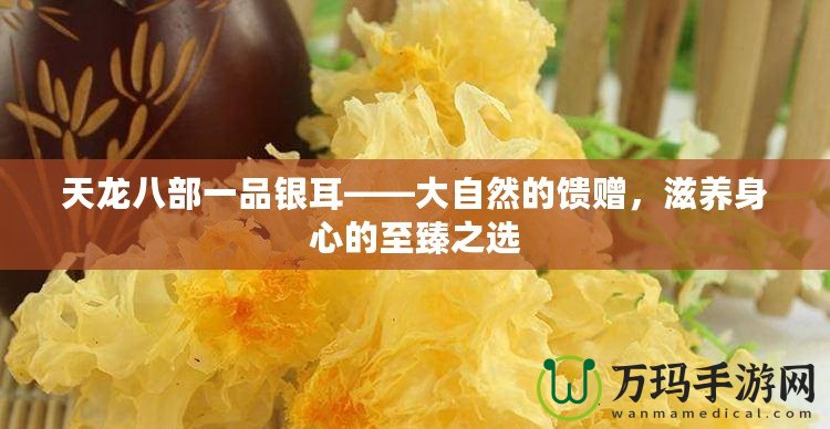 天龍八部一品銀耳——大自然的饋贈(zèng)，滋養(yǎng)身心的至臻之選