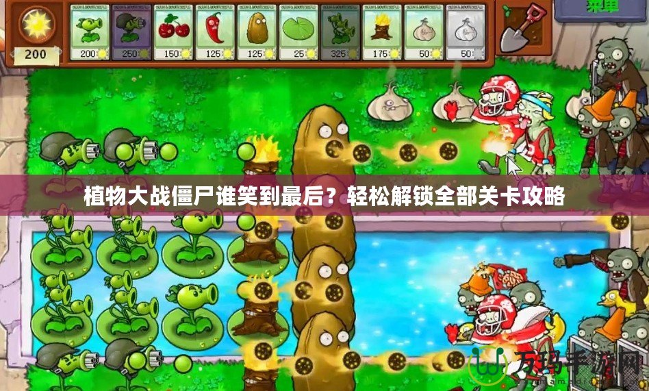 植物大戰(zhàn)僵尸誰笑到最后？輕松解鎖全部關卡攻略