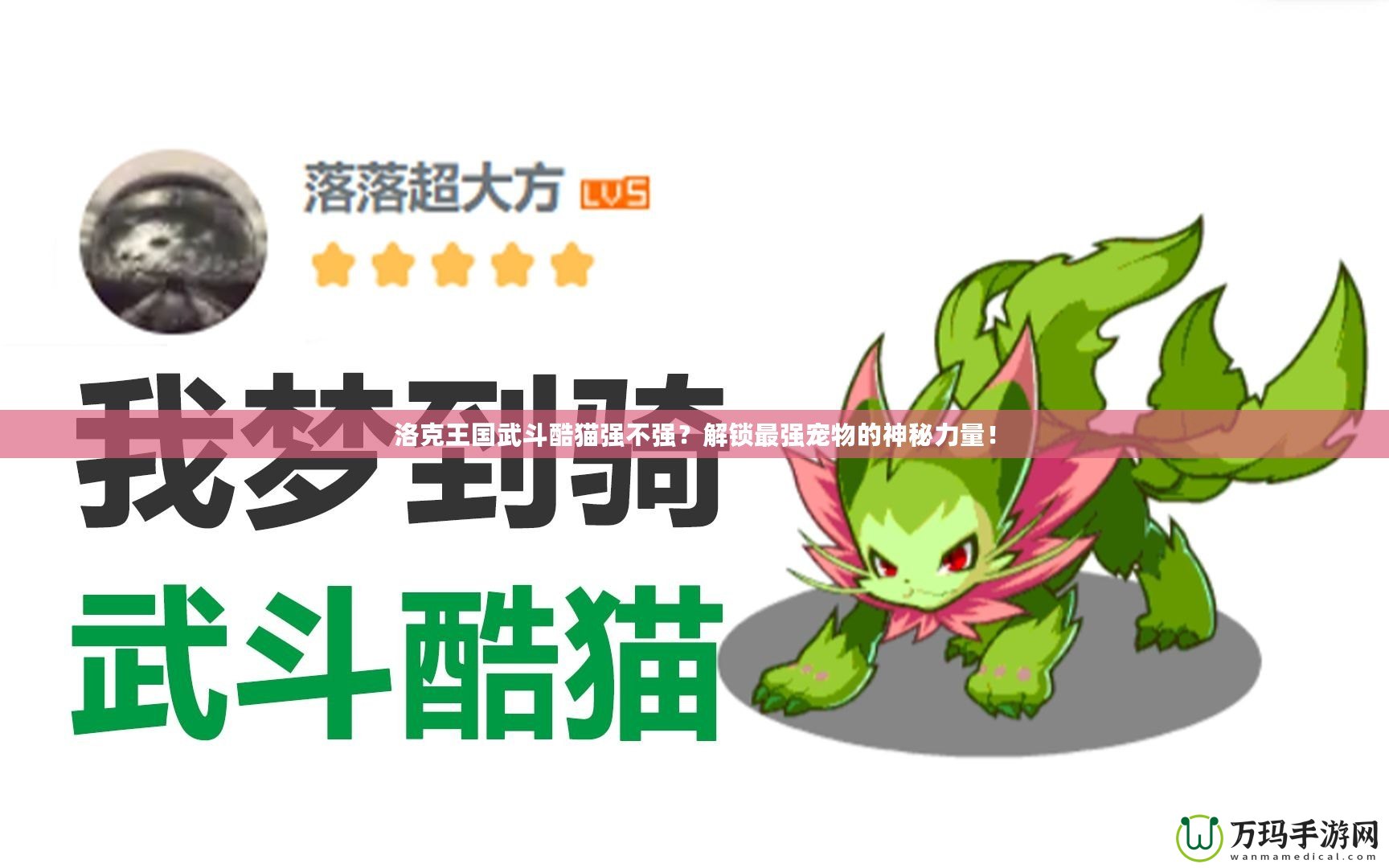 洛克王國武斗酷貓強(qiáng)不強(qiáng)？解鎖最強(qiáng)寵物的神秘力量！