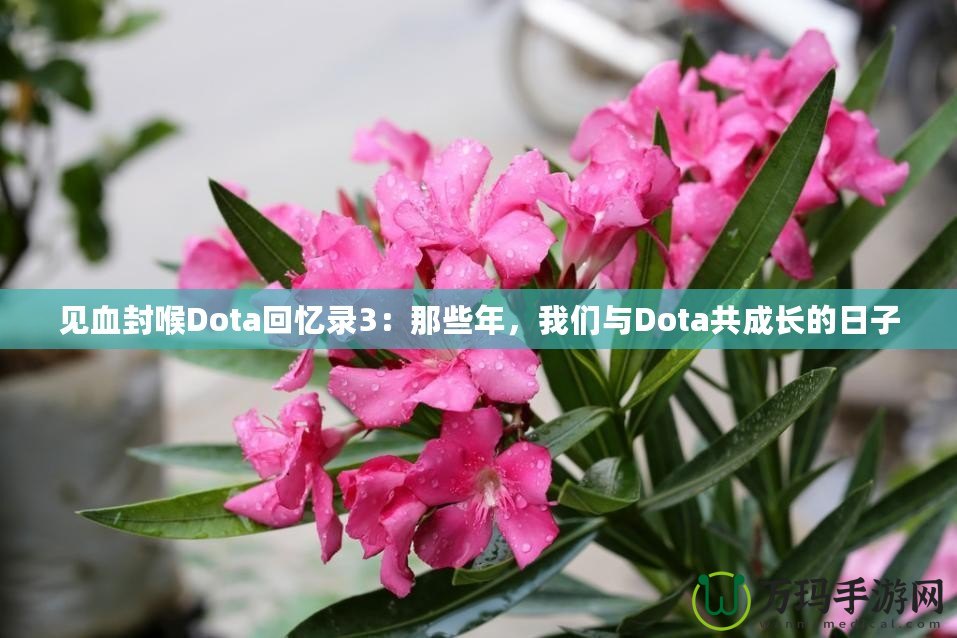 見血封喉Dota回憶錄3：那些年，我們與Dota共成長的日子
