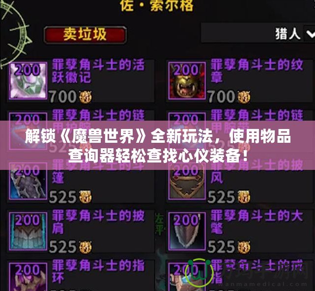 解鎖《魔獸世界》全新玩法，使用物品查詢器輕松查找心儀裝備！