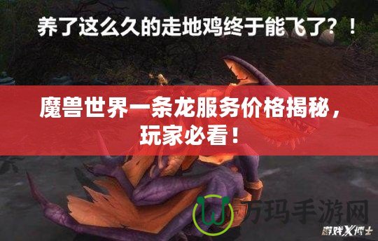 魔獸世界一條龍服務價格揭秘，玩家必看！