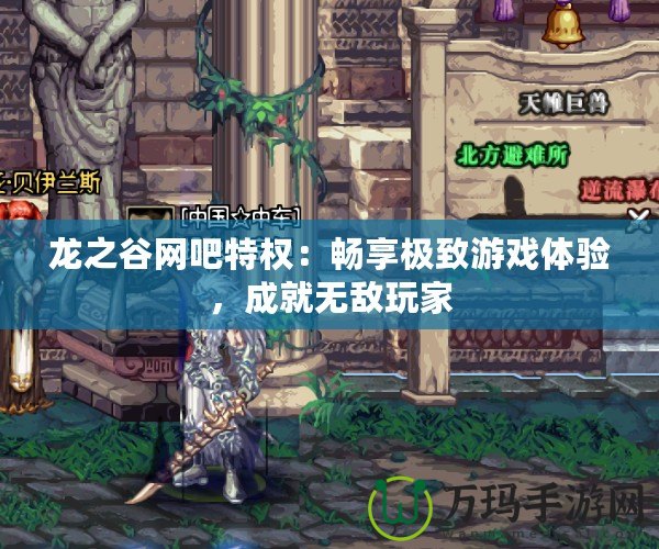 龍之谷網(wǎng)吧特權：暢享極致游戲體驗，成就無敵玩家
