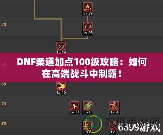DNF柔道加點(diǎn)100級(jí)攻略：如何在高端戰(zhàn)斗中制霸！