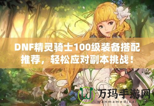 DNF精靈騎士100級裝備搭配推薦，輕松應(yīng)對副本挑戰(zhàn)！