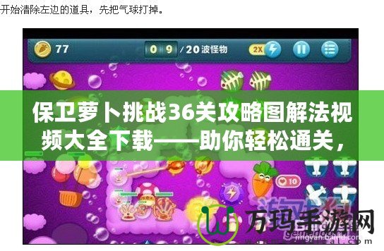 保衛(wèi)蘿卜挑戰(zhàn)36關(guān)攻略圖解法視頻大全下載——助你輕松通關(guān)，輕松解鎖精彩世界！