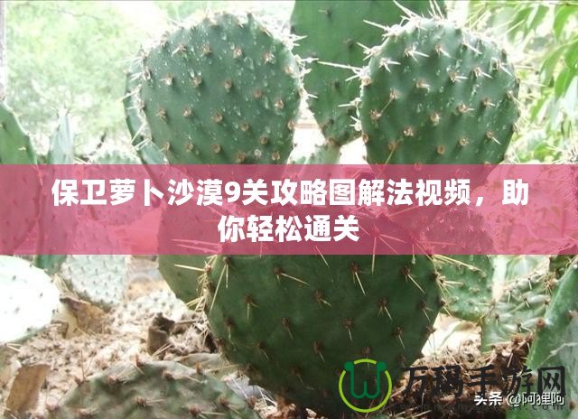 保衛(wèi)蘿卜沙漠9關(guān)攻略圖解法視頻，助你輕松通關(guān)