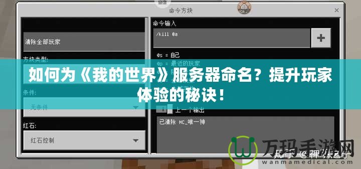 如何為《我的世界》服務(wù)器命名？提升玩家體驗(yàn)的秘訣！