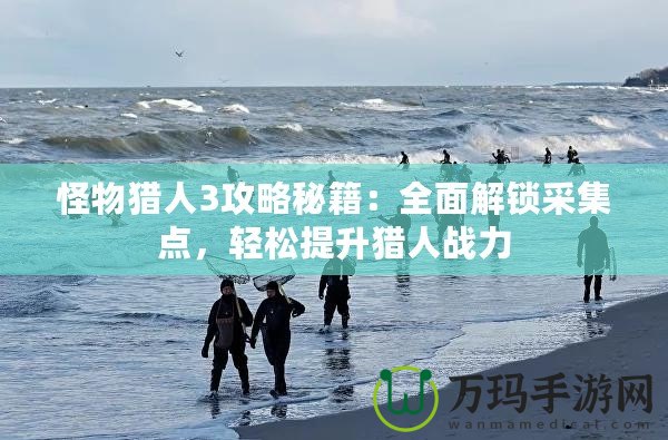 怪物獵人3攻略秘籍：全面解鎖采集點(diǎn)，輕松提升獵人戰(zhàn)力