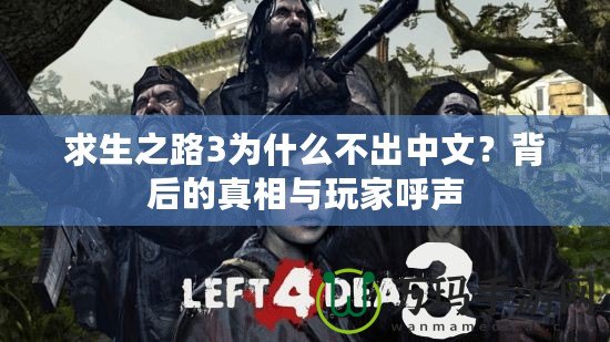 求生之路3為什么不出中文？背后的真相與玩家呼聲