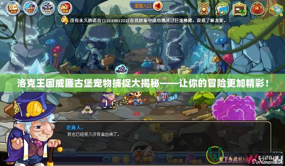 洛克王國(guó)威廉古堡寵物捕捉大揭秘——讓你的冒險(xiǎn)更加精彩！