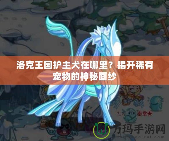 洛克王國護(hù)主犬在哪里？揭開稀有寵物的神秘面紗