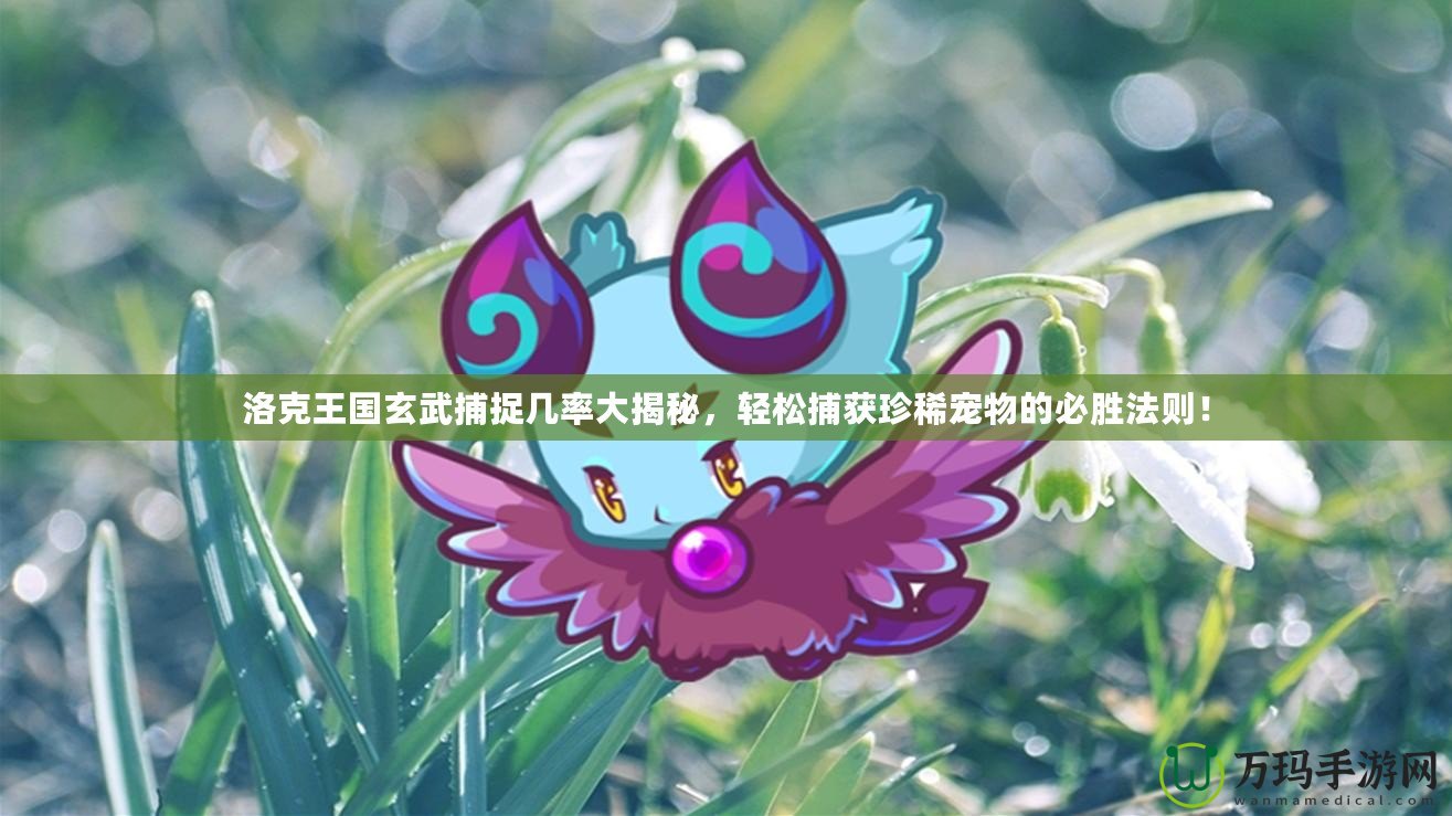 洛克王國玄武捕捉幾率大揭秘，輕松捕獲珍稀寵物的必勝法則！
