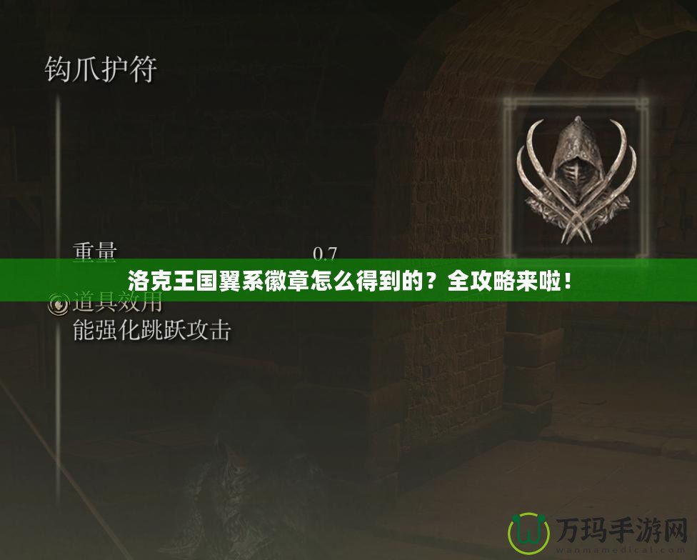 洛克王國翼系徽章怎么得到的？全攻略來啦！