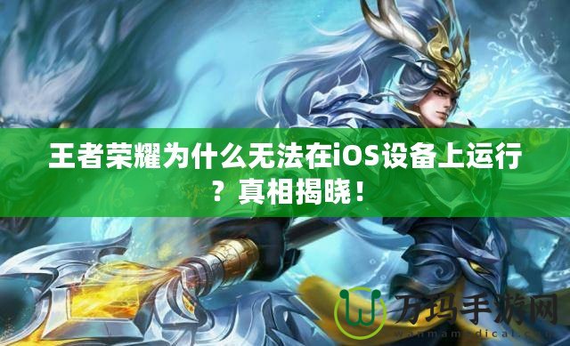 王者榮耀為什么無法在iOS設(shè)備上運(yùn)行？真相揭曉！