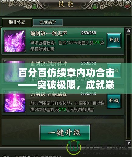 百分百仿續(xù)章內(nèi)功合擊——突破極限，成就巔峰之道