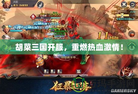 胡菜三國開服，重燃熱血激情！